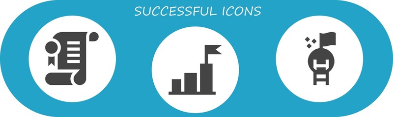 Wall Mural - successful icon set