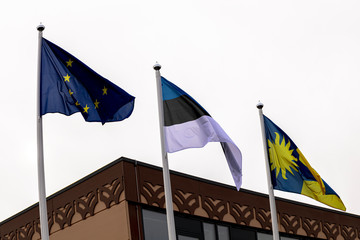 Flags of Estonia, Europe, Ust-Narva, on a background of gray sky