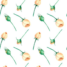 Watercolor Hand-drawn Seamless Pattern With Garden Roses Blossom