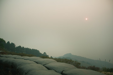Wall Mural - the sunset in the evening and full of haze from burning forests