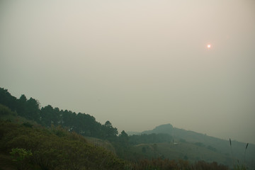 Wall Mural - the sunset in the evening and full of haze from burning forests