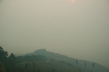 Wall Mural - the sunset in the evening and full of haze from burning forests