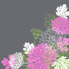 Wall Mural - Chrysanthemum flowers template