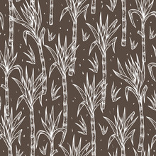 Hand Drawn Sugarcane Plants Vector Seamless Pattern. Sugar Cane Stalks With Leaves Endless Background