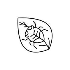 Aufkleber - Insect, beetle icon. Simple line, outline vector elements of spring icons for ui and ux, website or mobile application