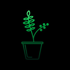 Poster - Tongat ali in pot nolan icon. Simple thin line, outline vector of flower icons for ui and ux, website or mobile application