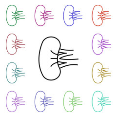 Poster - Kidney, organ multi color style icon. Simple thin line, outline vector of human organ icons for ui and ux, website or mobile application