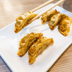 Canvas Print - Japanese street food, kyoza. Fried dumplings