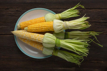 Wall Mural - Corn on the cob on a white dish, top view