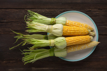 Wall Mural - Corn on the cob on a white dish, top view