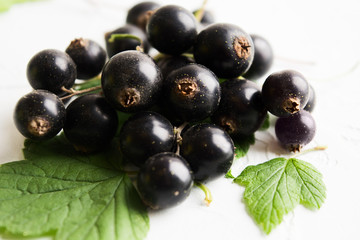 Wall Mural - Healthy organic black currant berries with leaves on white textured background