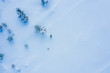 Paisaje nevado atravesado por una persona sola con un perro, visto desde el aire