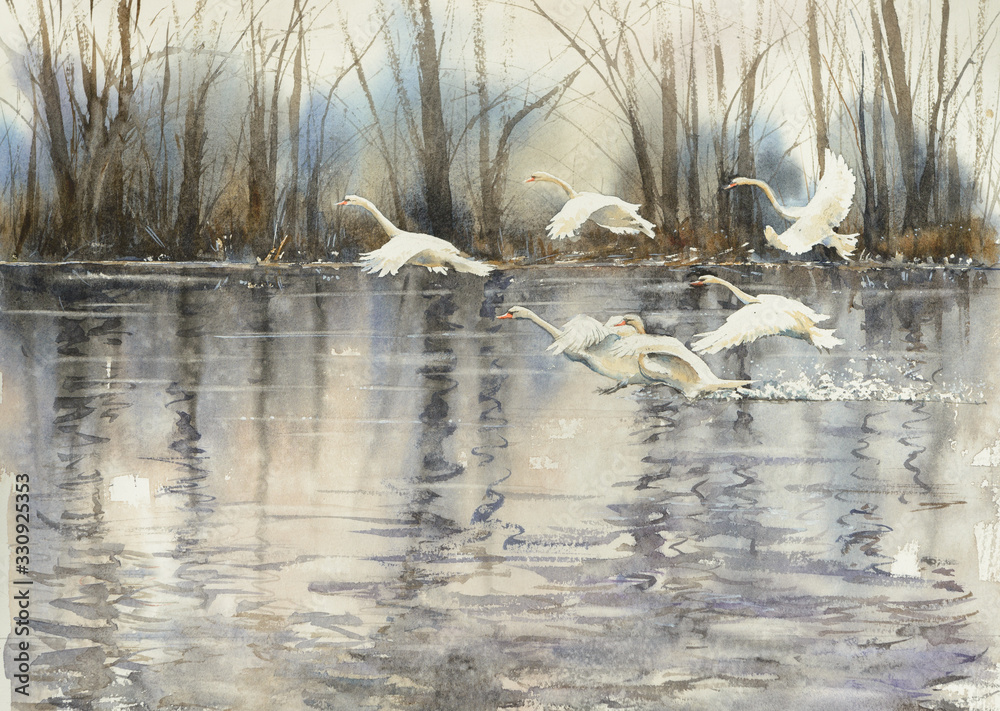 White swans flying over water. Picture created with watercolors. - obrazy, fototapety, plakaty 