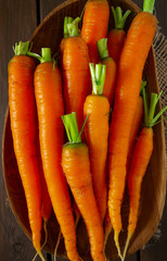 Wall Mural - fresh carrots on wooden surface