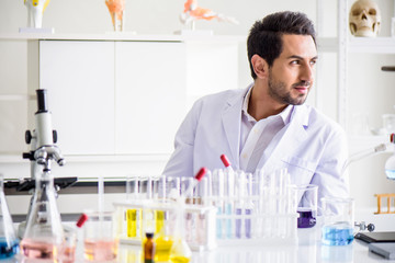 Wall Mural - attractive happiness scientist man lab technician assistant analyzing sample in test tube at laborat