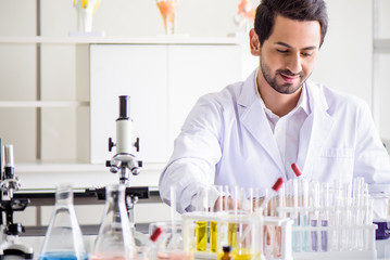 Wall Mural - attractive happiness scientist man lab technician assistant analyzing sample in test tube at laborat
