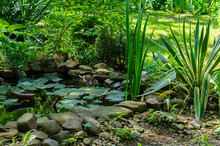 Beautiful Small Garden Pond With Stone Shores In The Spring. On Shore Among Stones, Striped Yucca Of Gloriosa Variegata Grows. Selective Focus. Nature Concept For Design.