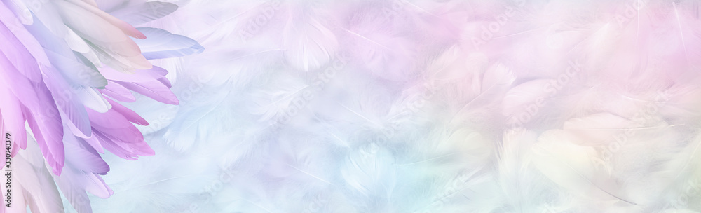 Multicoloured pastel Angel Feather Message Banner Background - a pile of long rainbow coloured feathers in left corner and wide message area with pastel coloured small random fluffy feathers  - obrazy, fototapety, plakaty 