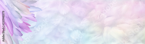 Fotografía Multicoloured pastel Angel Feather Message Banner Background - a pile of long ra