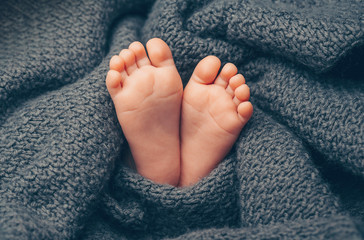 Newborn baby feet covered in grey knitted blanket