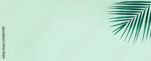 Fotografía Summer banner with palm tree on colorful background.