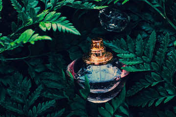 Wall Mural - Perfume bottle with aromatic tropical scent in nature, luxury fragrance