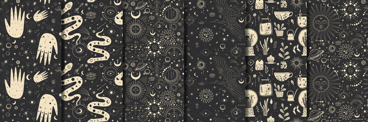 Vector illustration set of moon phases. Different stages of moonlight activity in vintage engraving style. Zodiac Signs