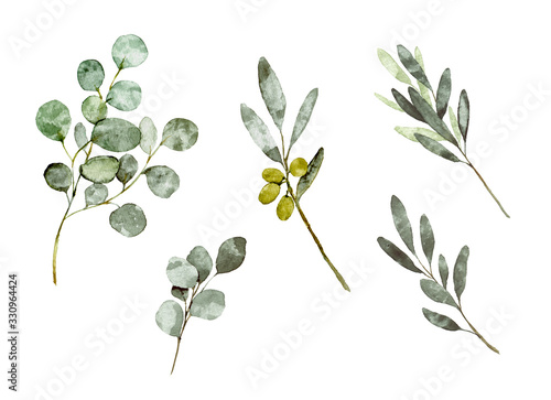 葉っぱ オリーブ ユーカリ イラスト 水彩 Wall Mural Ayumi