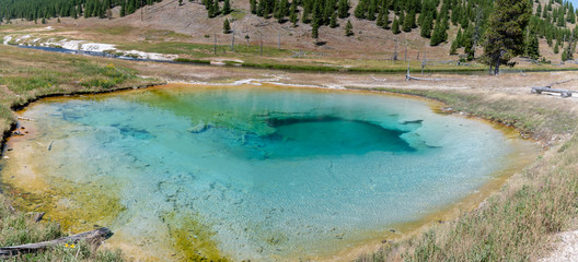 Wall Mural - Grand Prismatic Spring