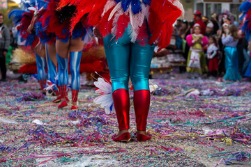 Carnival parade festival participants