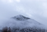 Fototapeta Na ścianę - View of the forest and the mountains in the mist in winter - Morzine Valley, France
