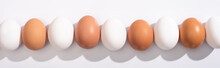 Panoramic Shot Of White And Brown Chicken Eggs On White Background