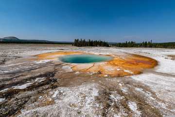 Poster - geyser yellowstone national park