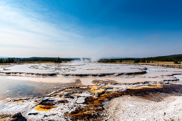 Wall Mural - geyser yellowstone national park