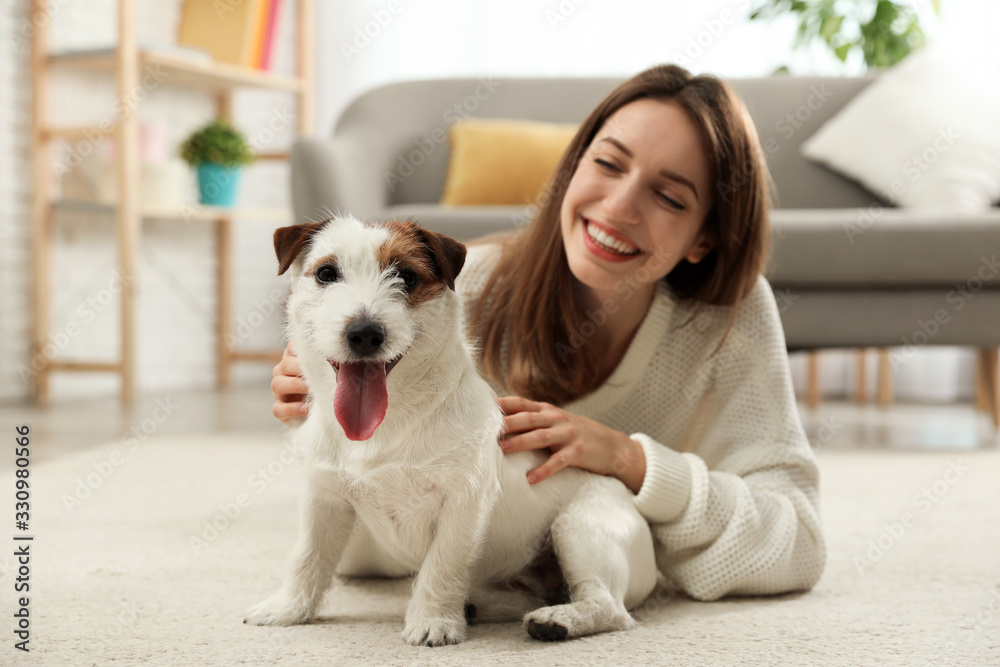 Young woman with her cute Jack Russell Terrier at home. Lovely pet - obrazy, fototapety, plakaty 