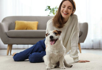 Young woman with her cute Jack Russell Terrier at home. Lovely pet