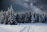 Fototapeta Na ścianę - Majestic landscape with forest at winter time. Scenery background