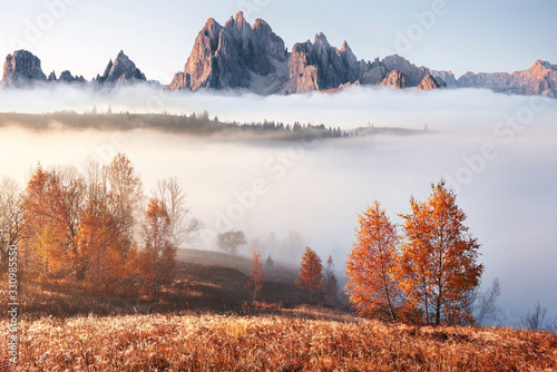 Dekoracja na wymiar  majestatyczny-krajobraz-z-jesiennymi-drzewami-w-mglistym-lesie-karpaty-ukraina-europa-piekno