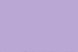 Fototapeta Miasto - purple solid color background, abstract background