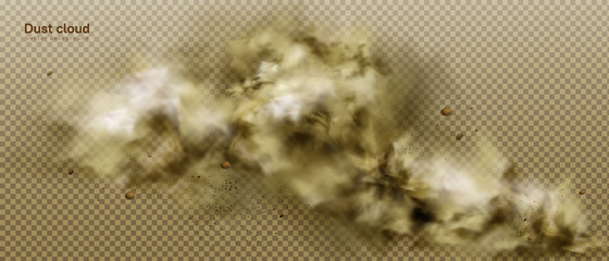 Wall Mural - dust cloud, dirty brown smoke, heavy thick smog with motes sand and soil particles isolated on trans