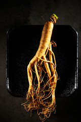 Canvas Print - Korean ginseng root