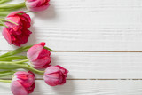 Fototapeta Kwiaty - red tulips on white wooden background