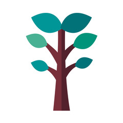 Poster - tree plant forest with leafs flat style icon