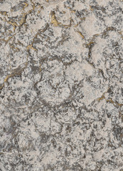 Wall Mural - Grunge background of grey stone texture