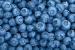 Close up background of blue toned fresh blueberry