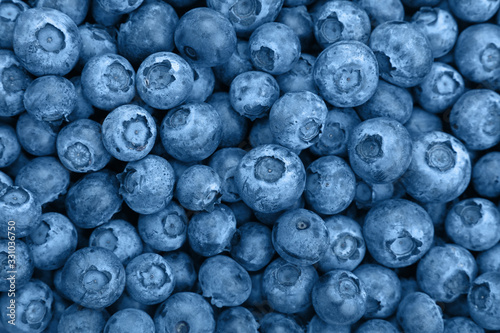 Fotografía Close up background of blue toned fresh blueberry