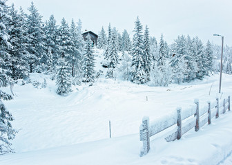 Wall Mural - Wooden Cottage near the gate in the snow covered forest in Ruka in Finland in the Arctic pole circle