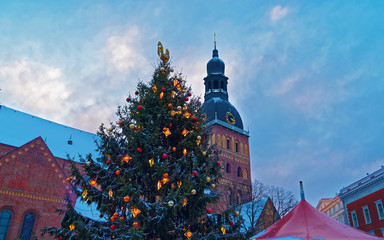 Canvas Print - Illuminated Christmas tree illuminated on the Christmas market