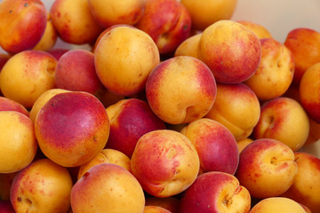 Wall Mural - lots of pink-red great looking fresh apricots,