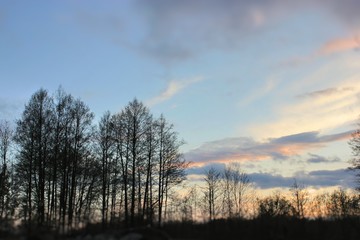 Beautiful sunset sky and trees on the horizon.